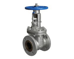 Stainless Steel 304H Gate Valves